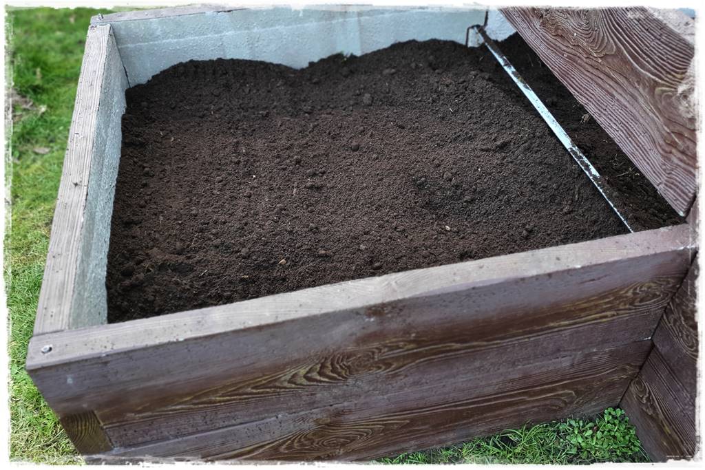 Czym wypełnić podwyższone grządki 13c Czym wypełnić podwyższone grządki 13c