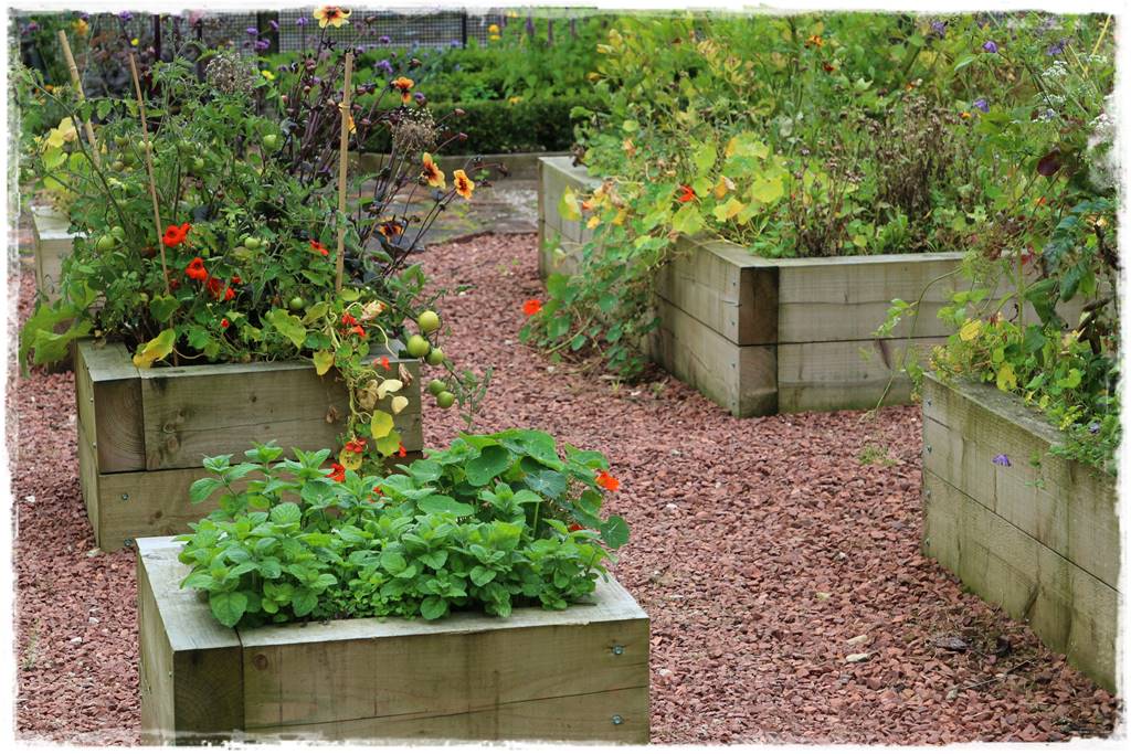 Czym wypełnić podwyższone grządki 1b Czym wypełnić podwyższone grządki 1b