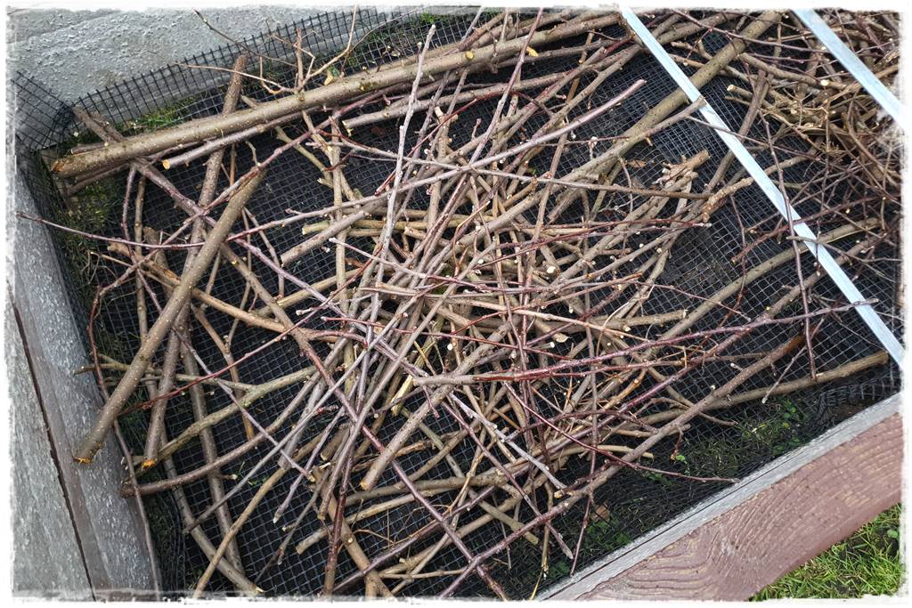 Czym wypełnić podwyższone grządki 5 Czym wypełnić podwyższone grządki 5