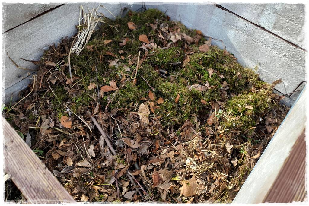 Czym wypełnić podwyższone grządki 6b Czym wypełnić podwyższone grządki 6b