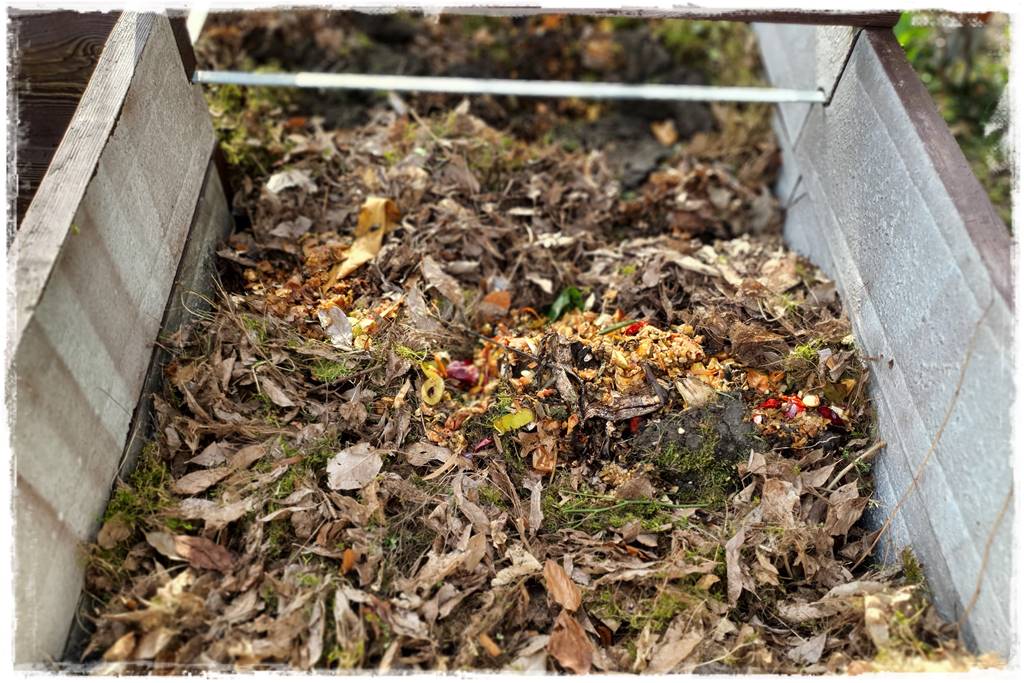 Czym wypełnić podwyższone grządki 8 Czym wypełnić podwyższone grządki 8