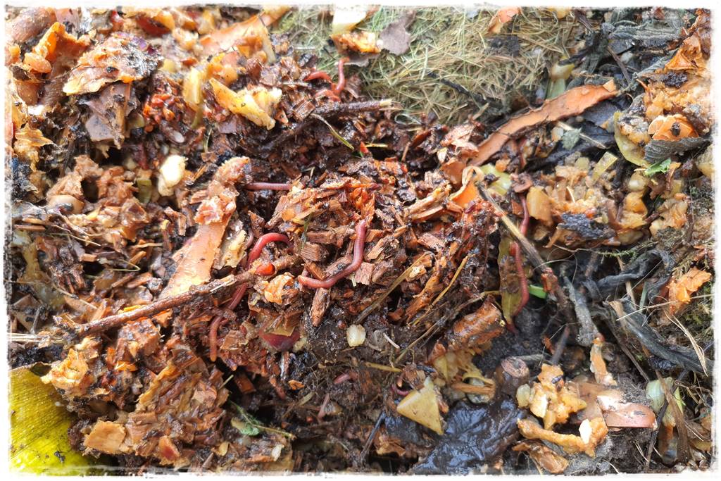 Czym wypełnić podwyższone grządki 8a Czym wypełnić podwyższone grządki 8a