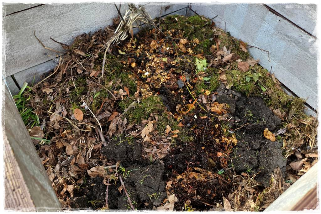 Czym wypełnić podwyższone grządki 8b Czym wypełnić podwyższone grządki 8b