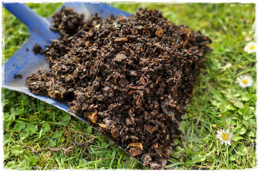 Czym wypełnić podwyższone grządki 9 Czym wypełnić podwyższone grządki 9