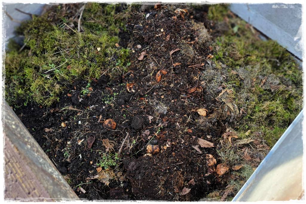 Czym wypełnić podwyższone grządki 9b Czym wypełnić podwyższone grządki 9b