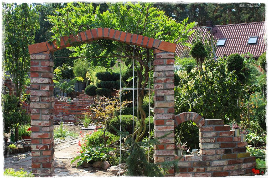 Jak podwiązać róże 1a Jak podwiązać róże 1a