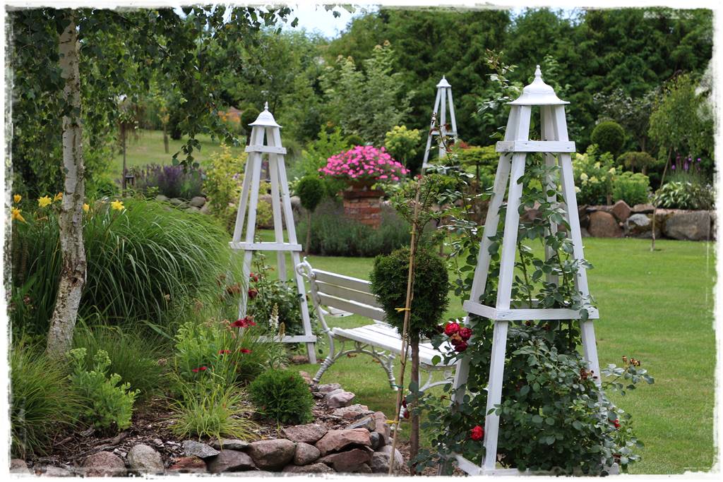 Jak podwiązać róże 2f