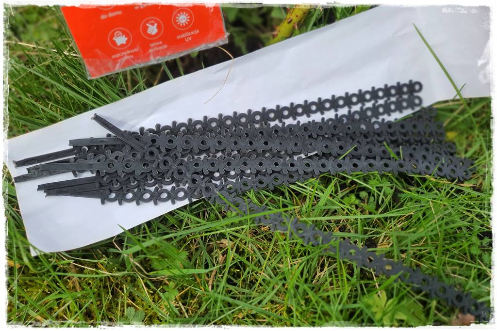 Jak podwiązać róże 3g Jak podwiązać róże 3g