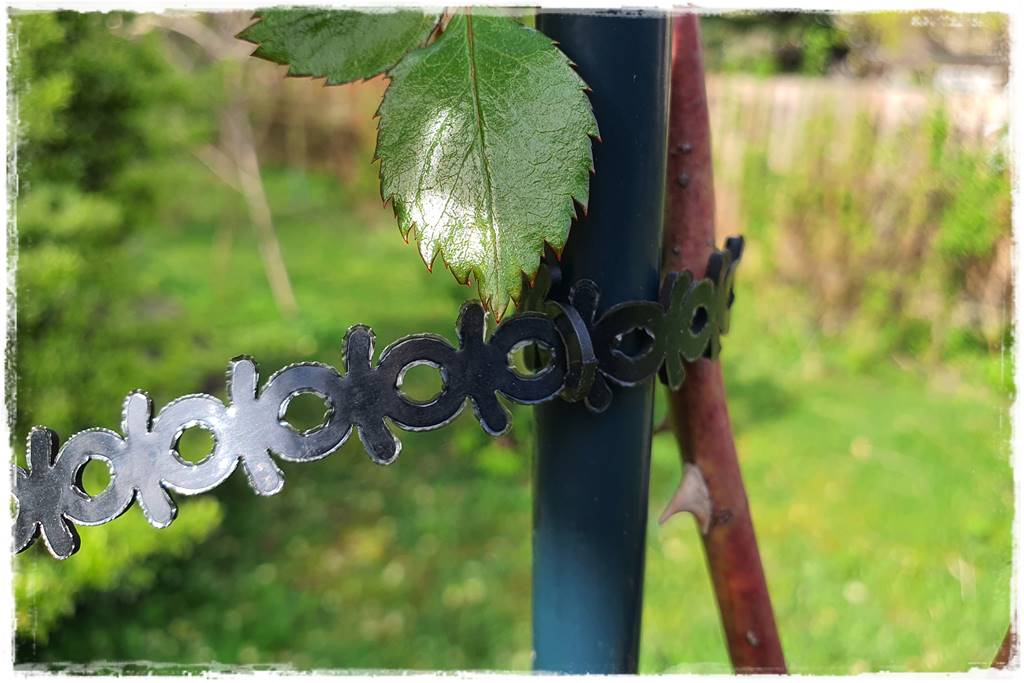 Jak podwiązać róże 4f Jak podwiązać róże 4f