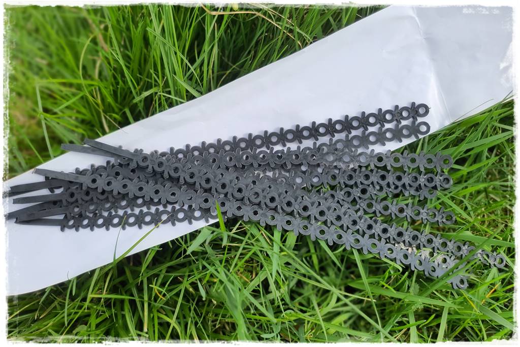 Jak podwiązać róże 9 Jak podwiązać róże 9