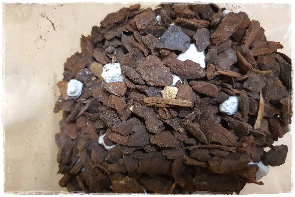 Jak zrobić podłoże do storczyków 2