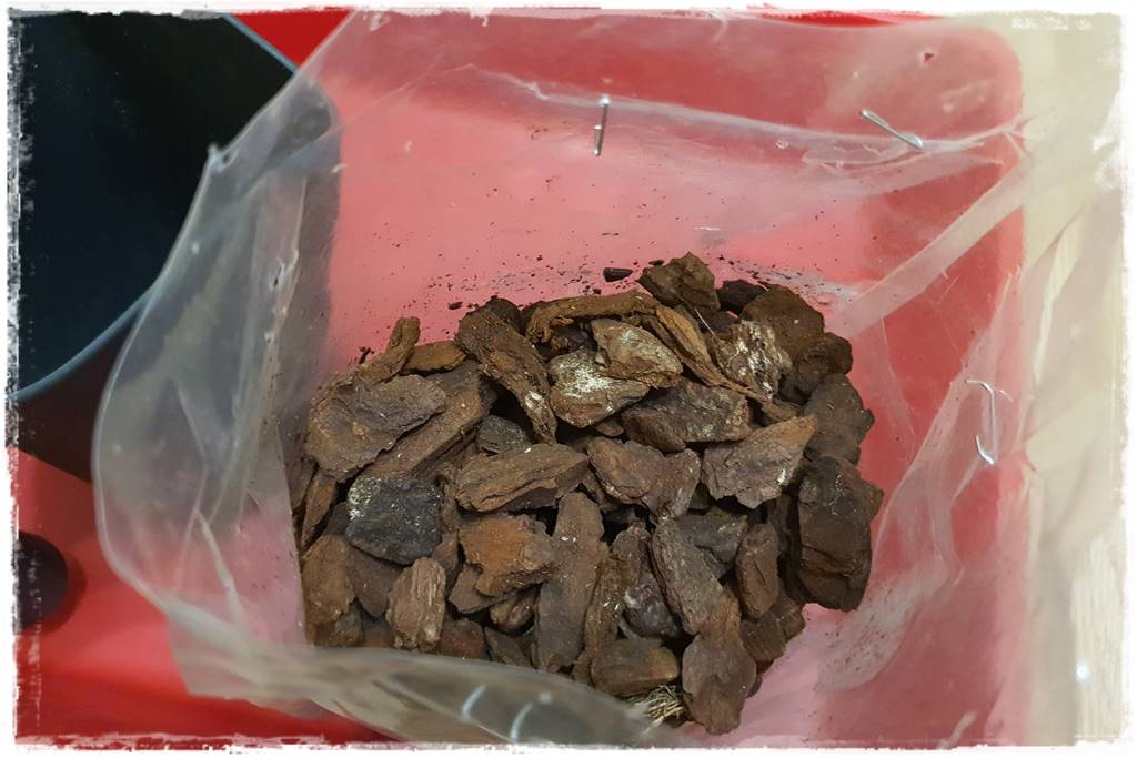 Jak zrobić podłoże do storczyków 3a