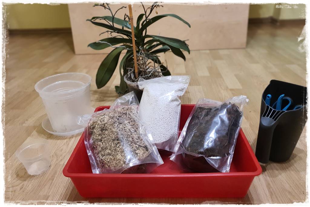 Jak zrobić podłoże do storczyków 3b