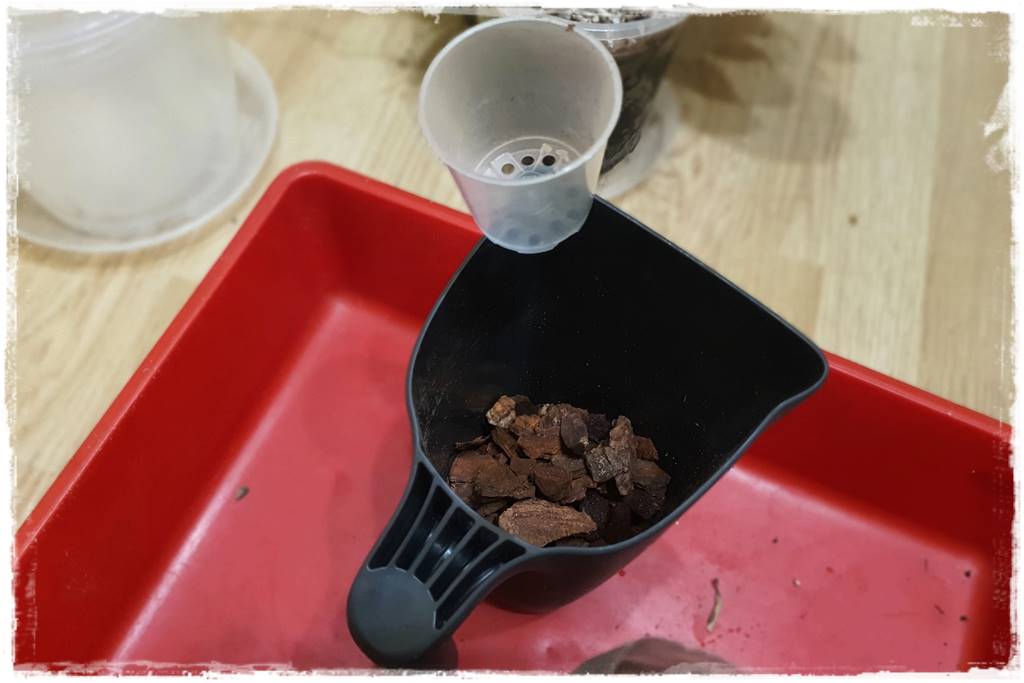 Jak zrobić podłoże do storczyków 3i