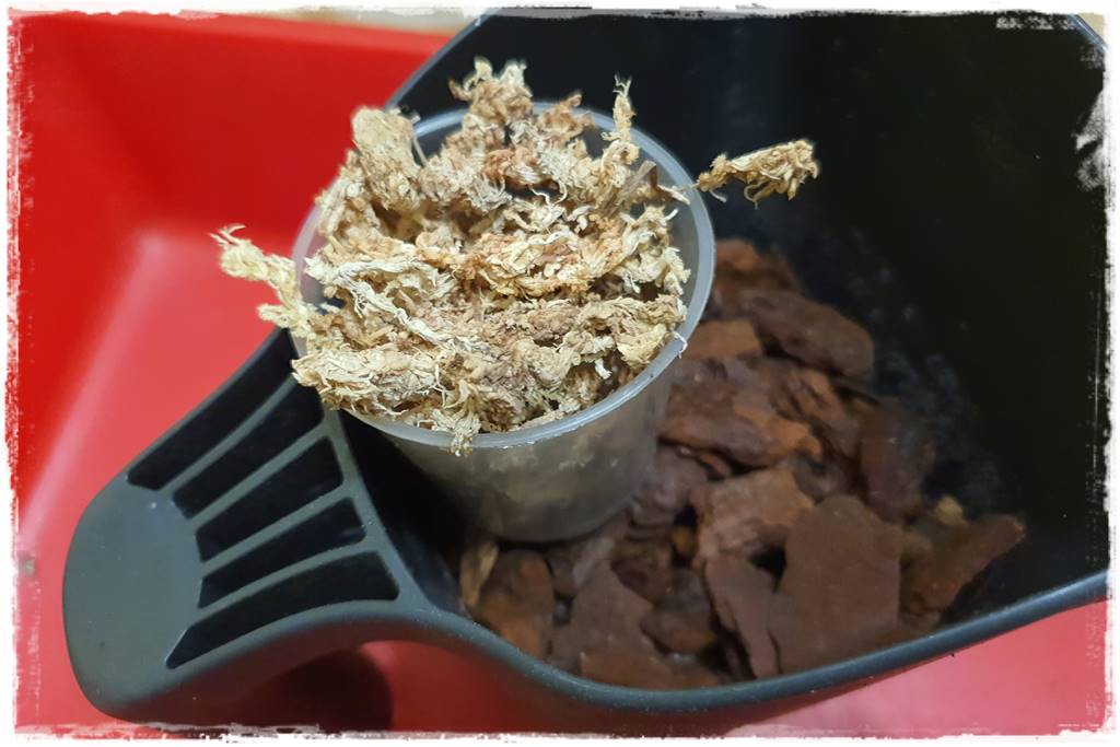 Jak zrobić podłoże do storczyków 3j