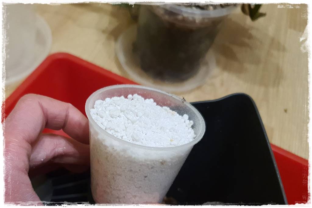 Jak zrobić podłoże do storczyków 3k