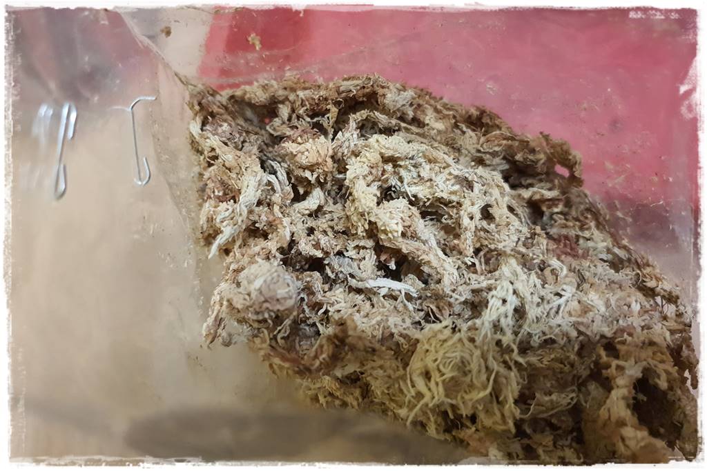 Jak zrobić podłoże do storczyków 4b