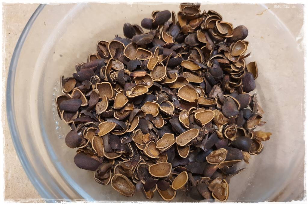 Jak zrobić podłoże do storczyków 4d