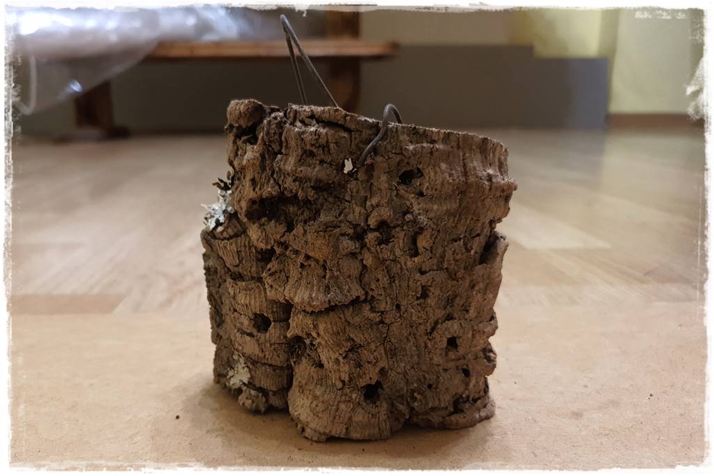 Jak zrobić podłoże do storczyków 6