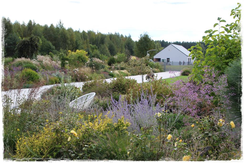 Kratka trawnikowa 0b Kratka trawnikowa 0b