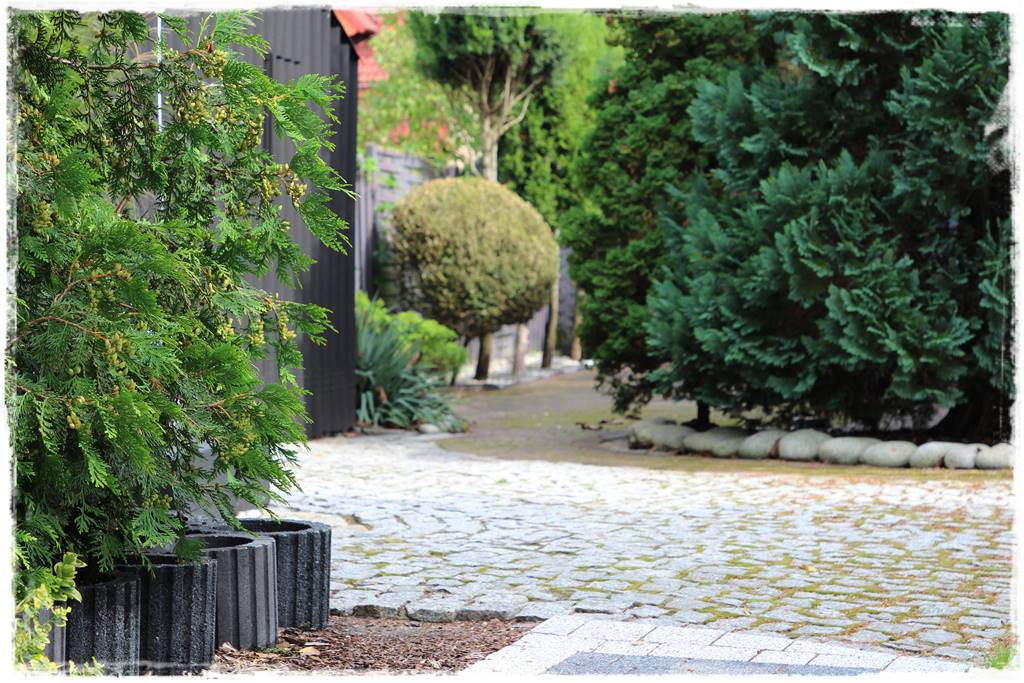 Kratka trawnikowa 0e