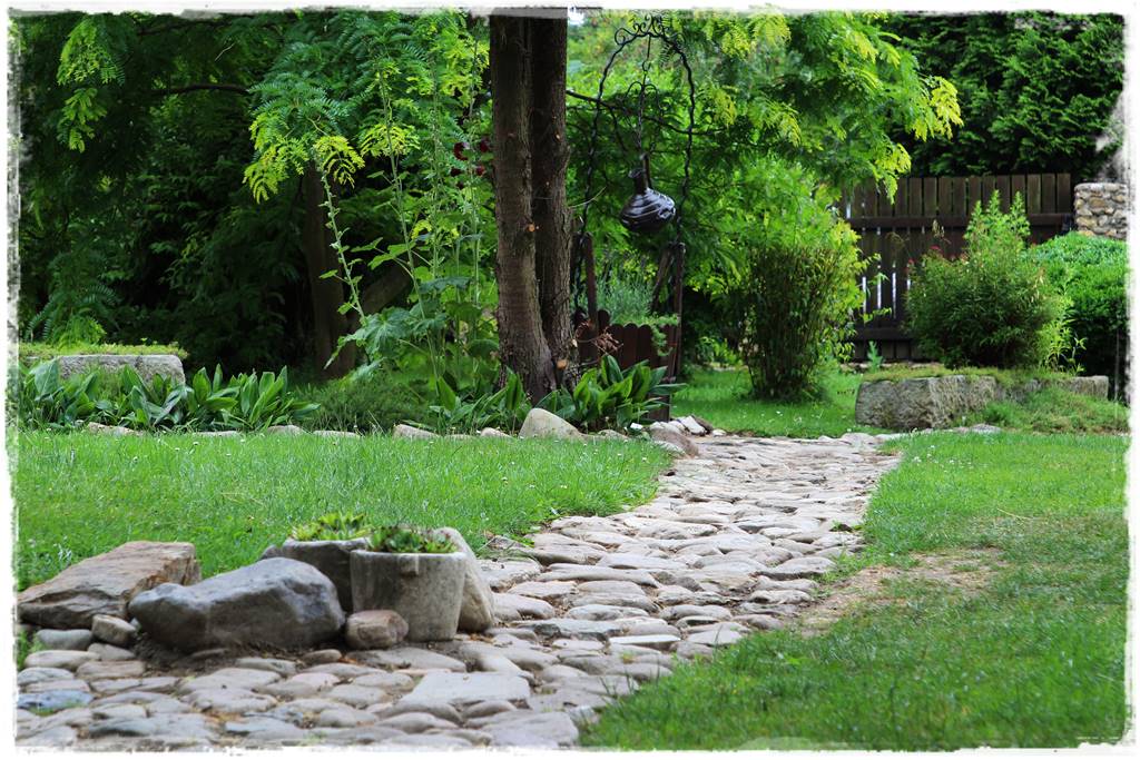 Kratka trawnikowa 1 Kratka trawnikowa 1