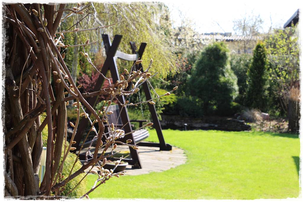 Kratka trawnikowa 1e Kratka trawnikowa 1e