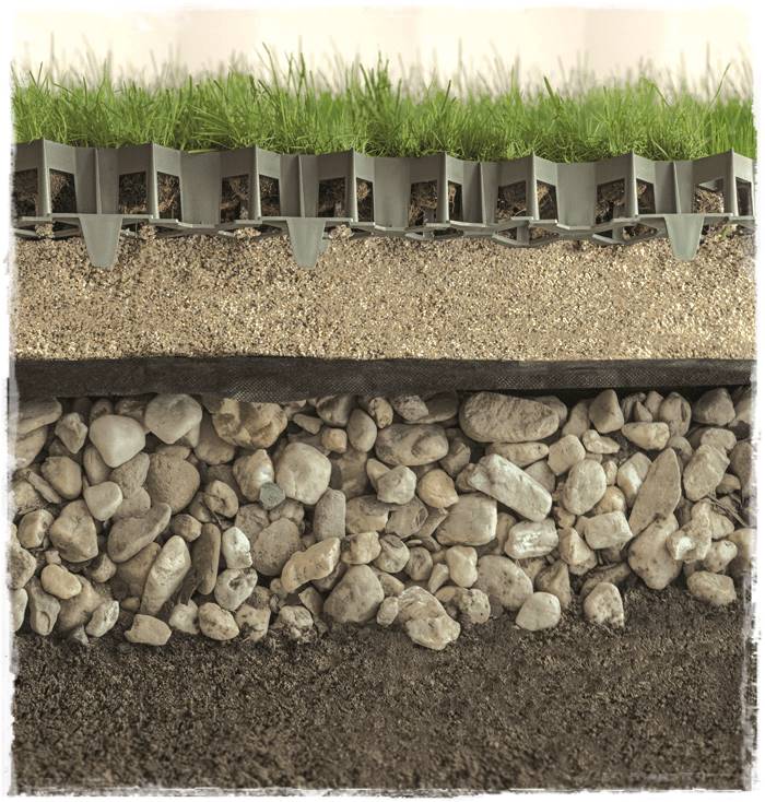 Kratka trawnikowa 6a