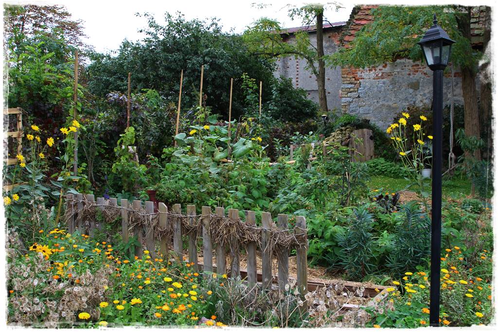 Nawozy organiczne 0e Nawozy organiczne 0e