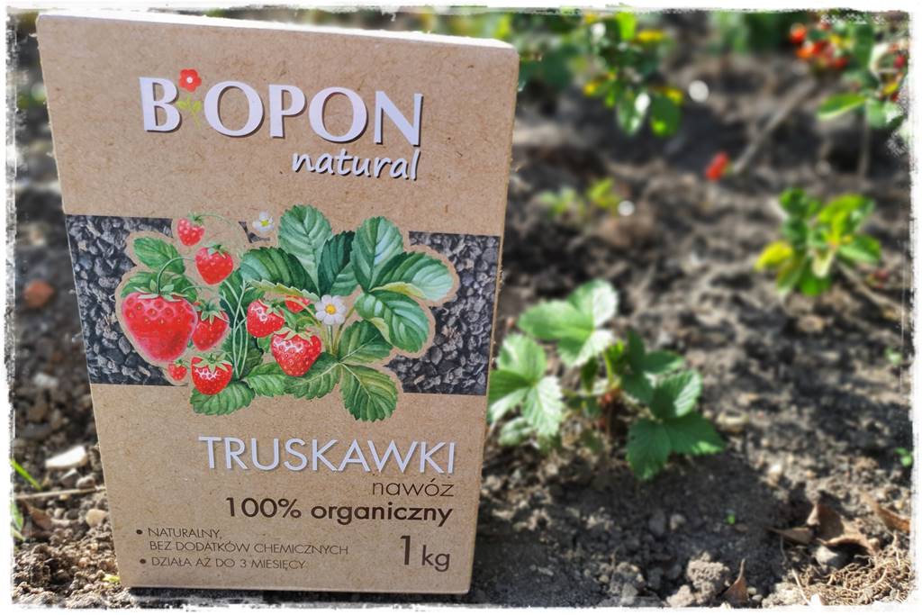 Nawozy organiczne 2c