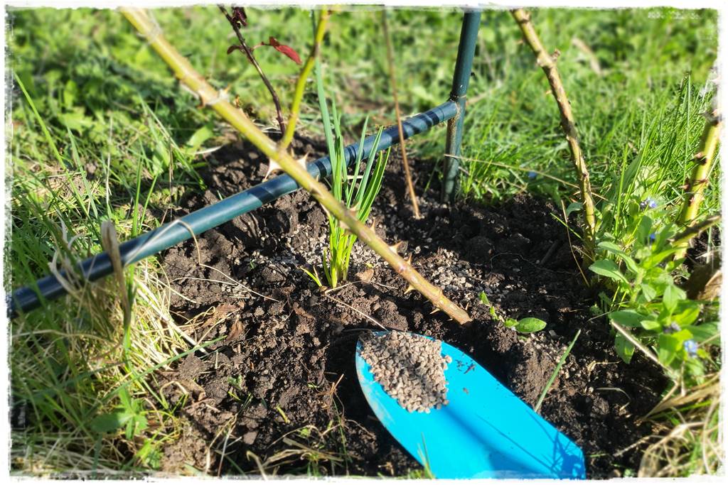 Nawozy organiczne 2t Nawozy organiczne 2t