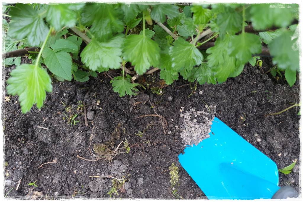 Nawozy organiczne 4a Nawozy organiczne 4a