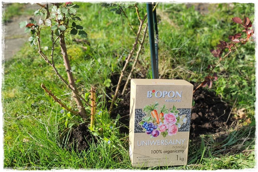 Nawozy organiczne 4e Nawozy organiczne 4e