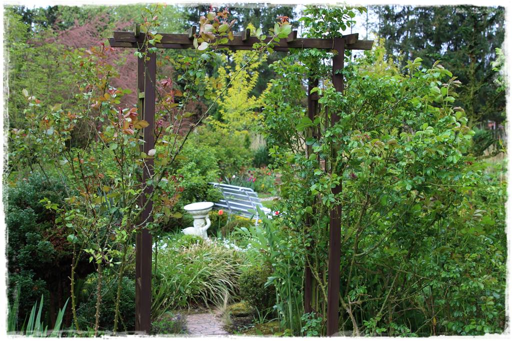 Rustykalny ogród 10 Rustykalny ogród 10