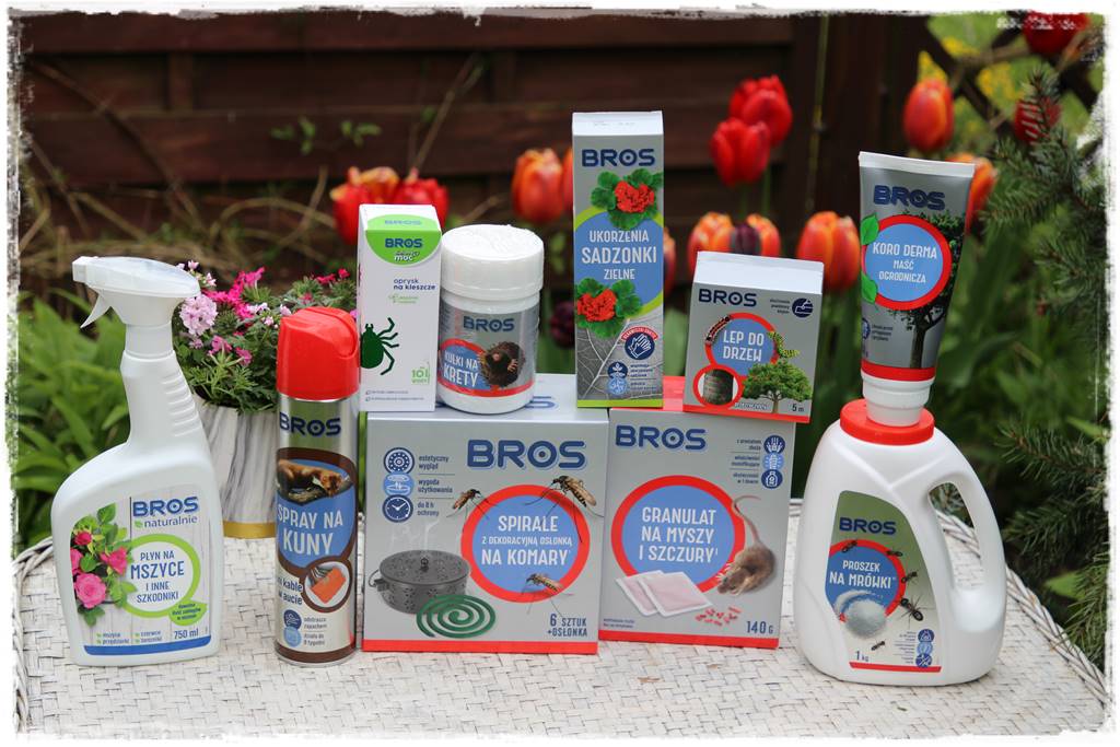 Rustykalny ogród 101