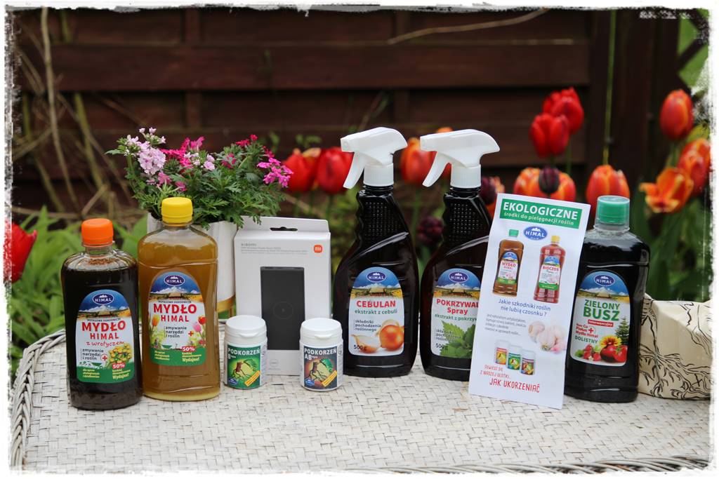 Rustykalny ogród 104