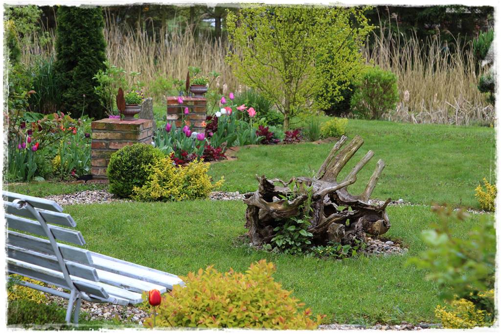 Rustykalny ogród 12 Rustykalny ogród 12