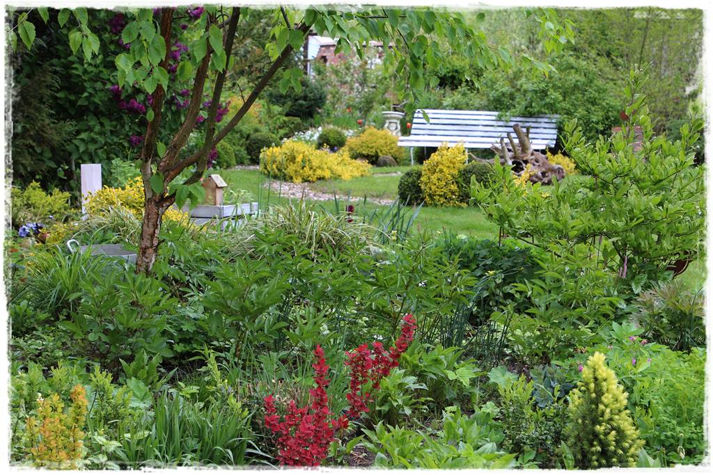 Rustykalny ogród 12a Rustykalny ogród 12a