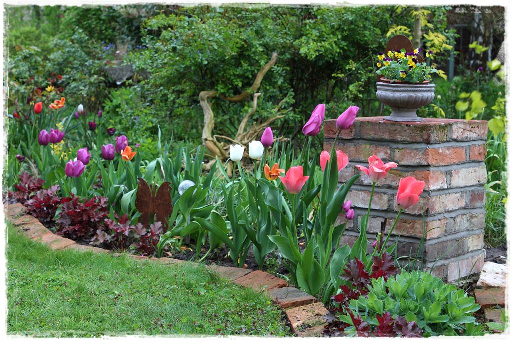 Rustykalny ogród 14 Rustykalny ogród 14