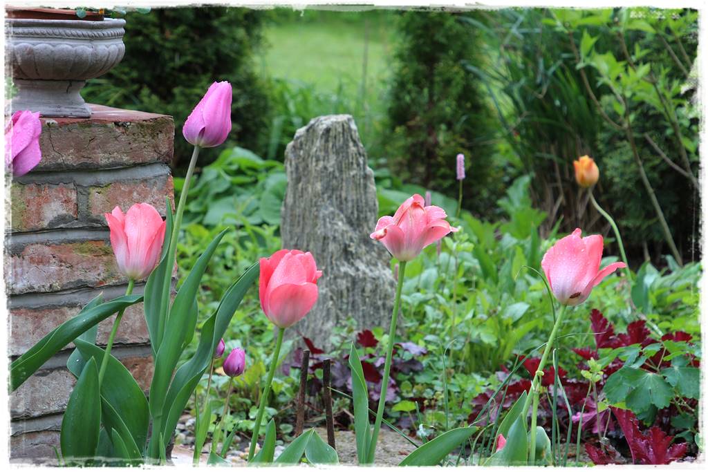 Rustykalny ogród 15 Rustykalny ogród 15