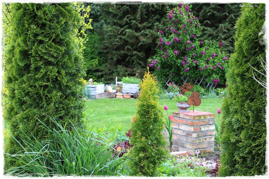 Rustykalny ogród 18