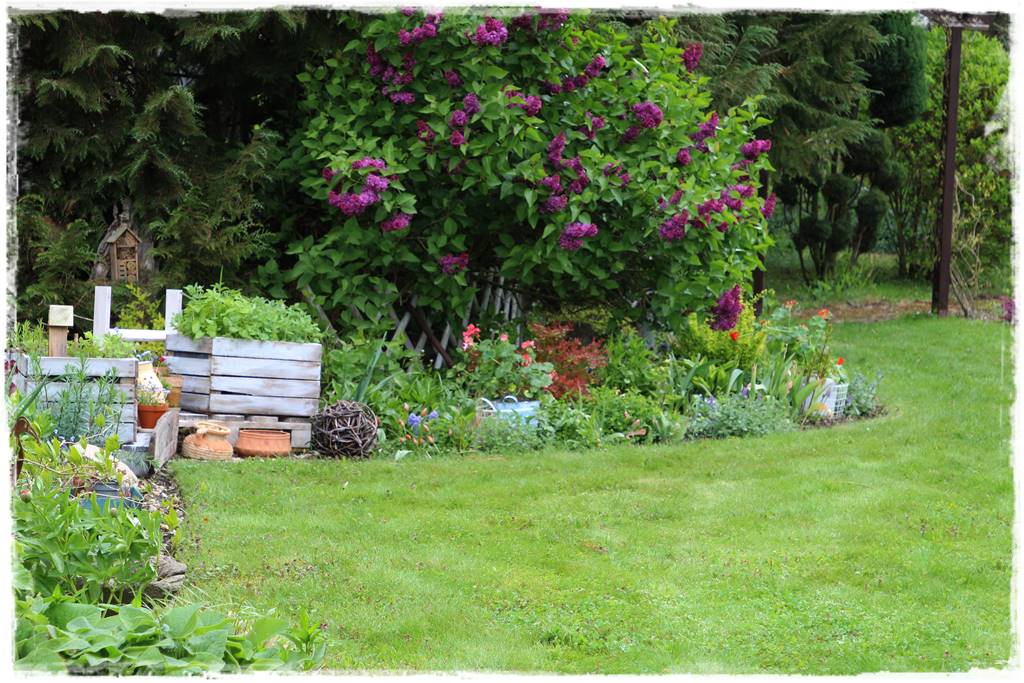 Rustykalny ogród 19 Rustykalny ogród 19