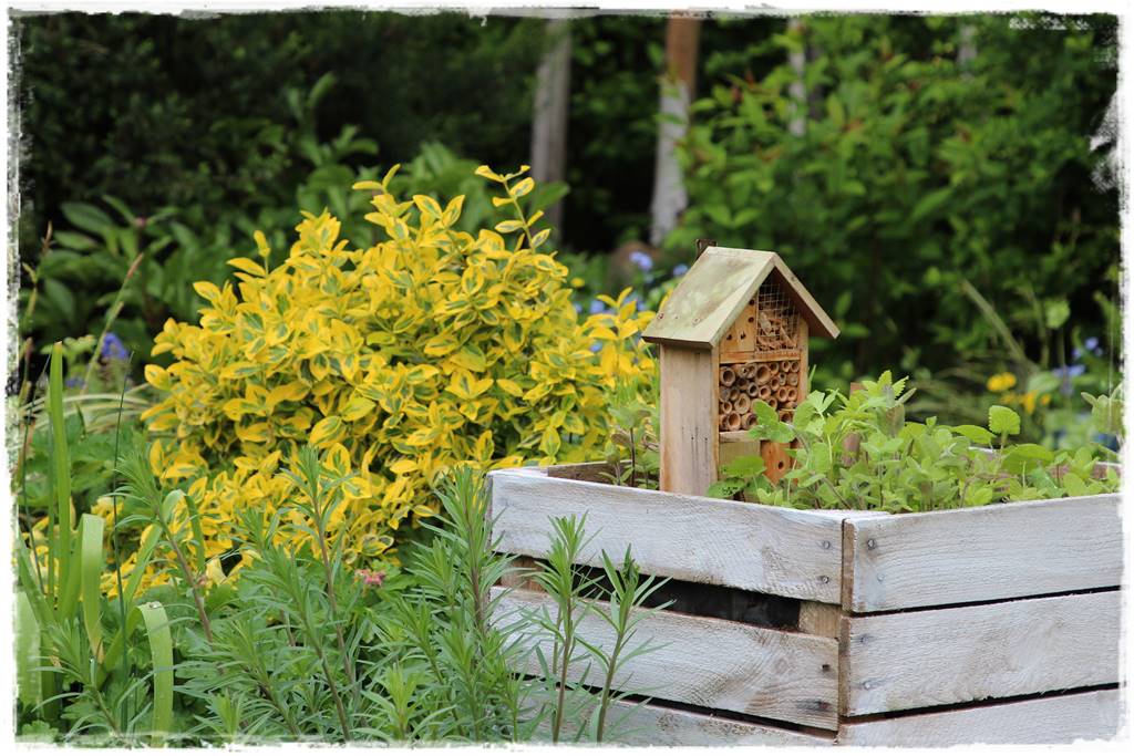 Rustykalny ogród 23 Rustykalny ogród 23