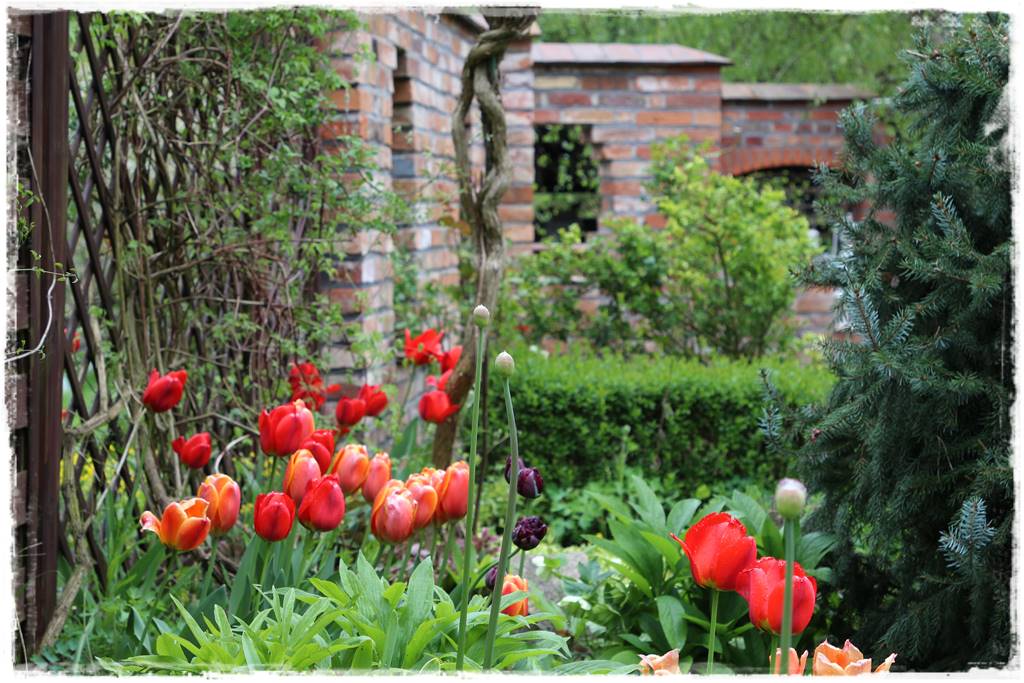 Rustykalny ogród 25 Rustykalny ogród 25