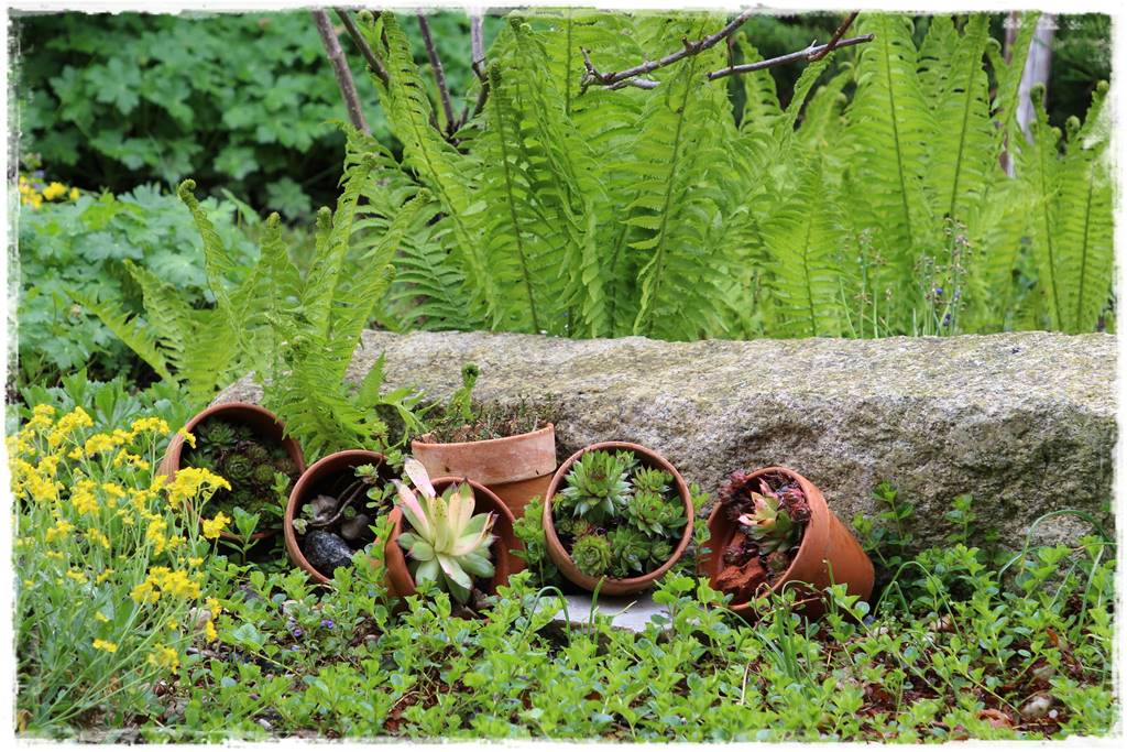 Rustykalny ogród 34 Rustykalny ogród 34