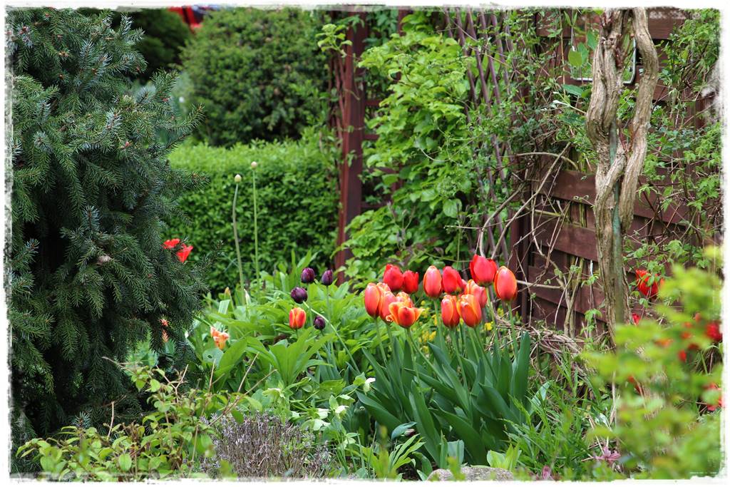 Rustykalny ogród 43a Rustykalny ogród 43a