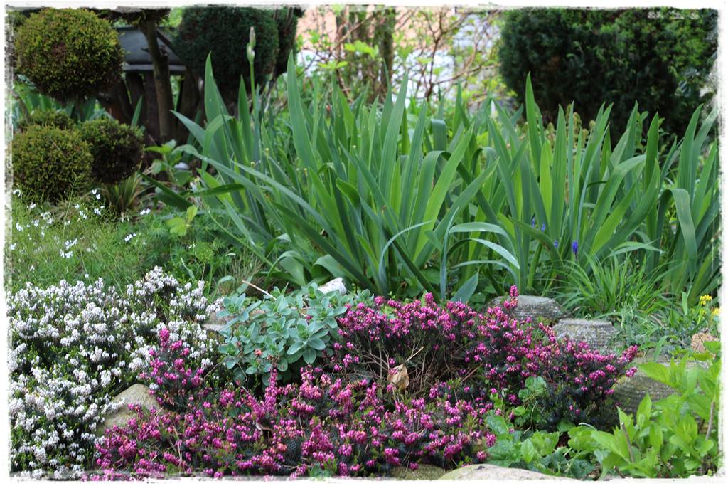 Rustykalny ogród 44 Rustykalny ogród 44