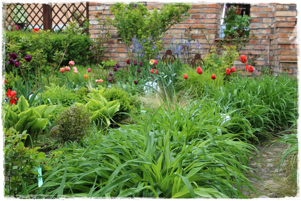 Rustykalny ogród 45 Rustykalny ogród 45