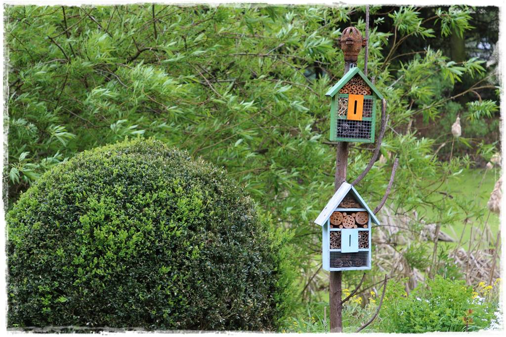 Rustykalny ogród 50 Rustykalny ogród 50