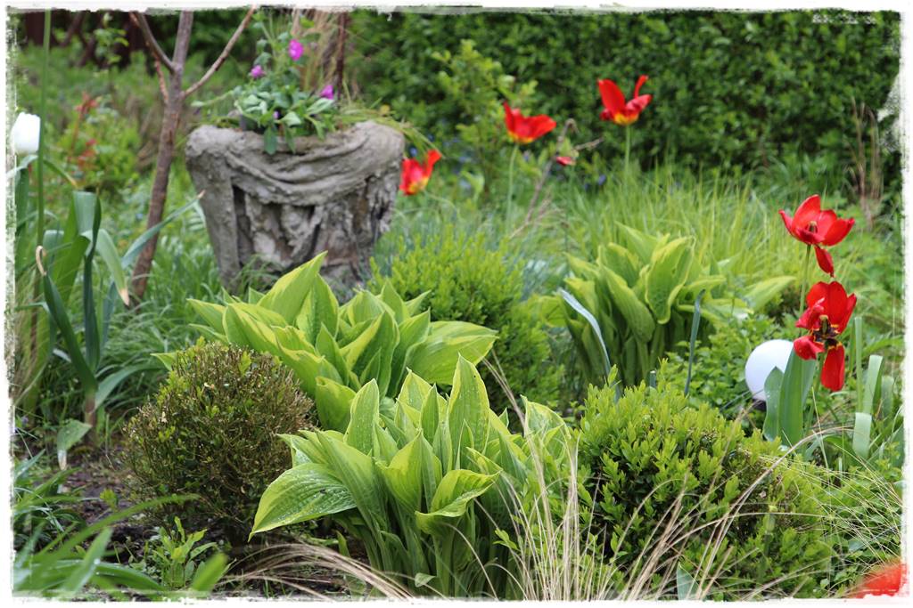 Rustykalny ogród 51 Rustykalny ogród 51